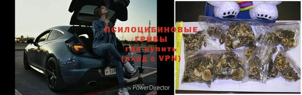 mdma Нефтекумск