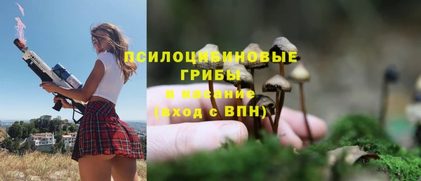 стаф Новозыбков