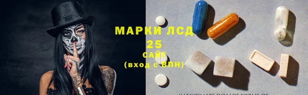 стаф Новозыбков