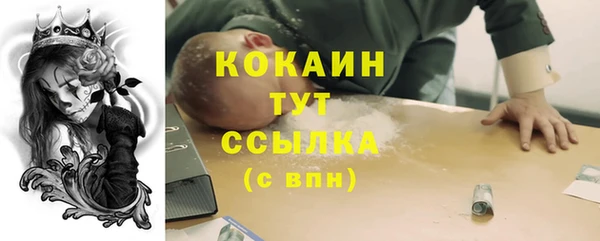 стаф Новозыбков