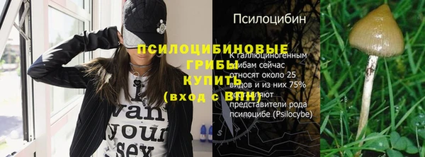 дживик Новодвинск
