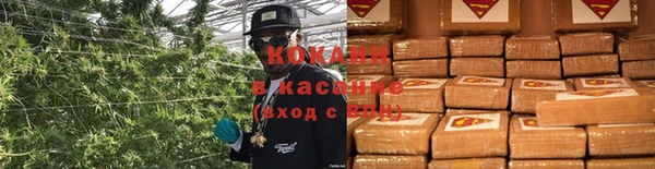стаф Новозыбков