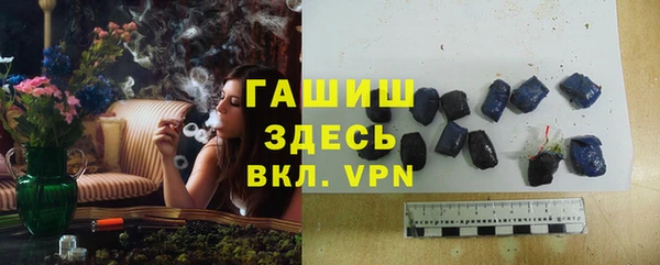 стаф Новозыбков