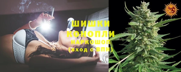 дживик Новодвинск