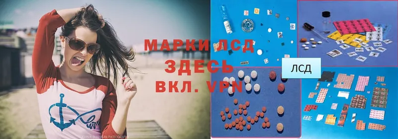 закладки  Покров  блэк спрут как зайти  LSD-25 экстази кислота 